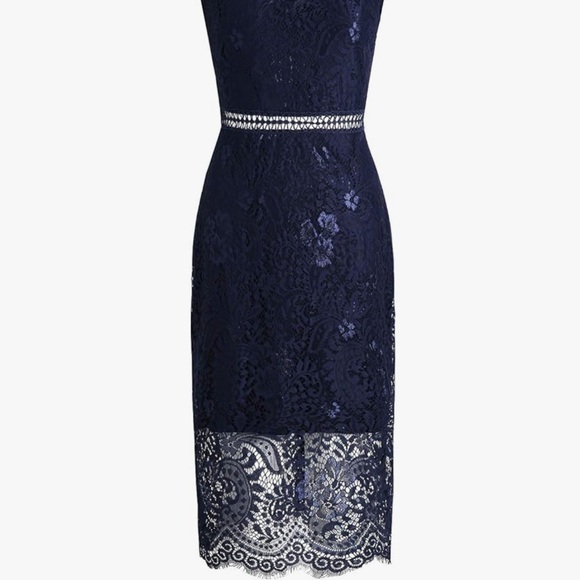 Chic Navy Lace Midi Dress - Picture 3 of 6